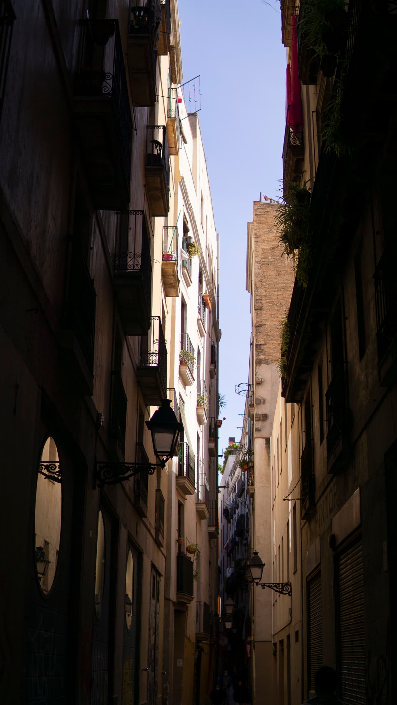 Photography 14