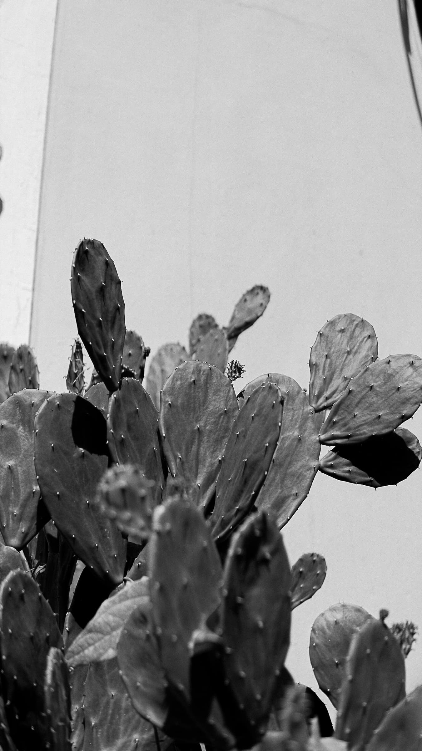 Photography 26